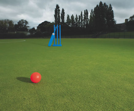 Practice Play Junior needlepunch practice level cricket