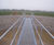 Activated sludge treatment for industrial effluent 1