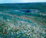 Wildflower and native grass hydroseeding, A417 - on this page