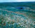 Wildflower and native grass hydroseeding, A417 0