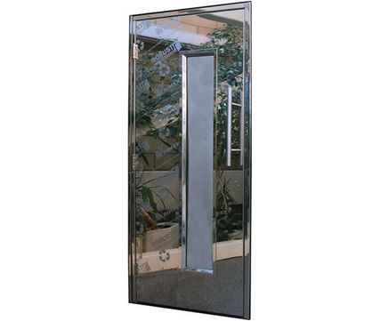 S/ST stainless steel door