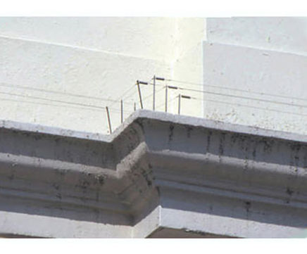 Spring wire humane bird control systems