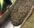 RCW (Roadside Concrete Washout System) 3