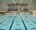 Technical Pool swimming pool tiles