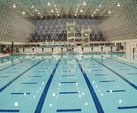 Technical Pool swimming pool tiles