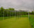 Cricket wickets 2