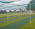 Cricket wickets 11