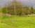 Cricket wickets 10