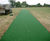 Cricket wickets 5