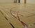 Indoor sports hall line marking services 1