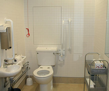 Super Alpro tile access panel