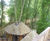 Adventure play aerial walkway, Alnwick Gardens 5