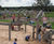 York Maze interactive and adventure play area 0