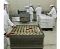 Safety Coat Hygienic anti-slip floor paint