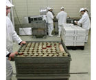 Safety Coat Hygienic anti-slip floor paint