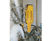 Ytron Y ByPass jet mixer 3