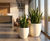 Bradley - fibreglass indoor and outdoor planter for modern spaces 2