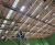 Radiant heating refit for Iffley Road Sports Centre 3