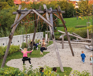 Partner Swing - timber outdoor playground swing for two children