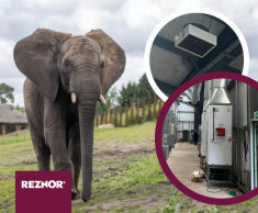 Consistent heating for elephant enclosure, West Midlands Safari Park