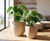 Bradley - fibreglass indoor and outdoor planter for modern spaces 1