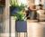 Oakley Planter Stand - metal indoor plant holder for 300mm cube pots 8