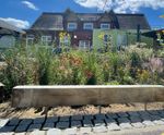 Rain Gardens - planted drainage beds for surface water management