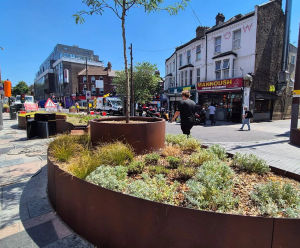 Climate resilient, seasonal planting for Walthamstow High Street