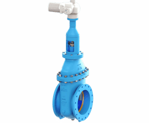 Metal Seated Wedge Gate Valve - ductile iron valve for pipeline isolation