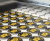 Fitzpatrick Woolmer donates 500 waymark discs keeping footpaths visible 2