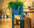 Oakley Planter Stand - metal indoor plant holder for 300mm cube pots 3