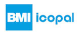 BMI