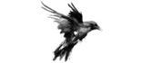 Raven