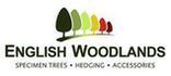 English Woodlands