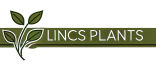 Lincolnshire Pond Plants